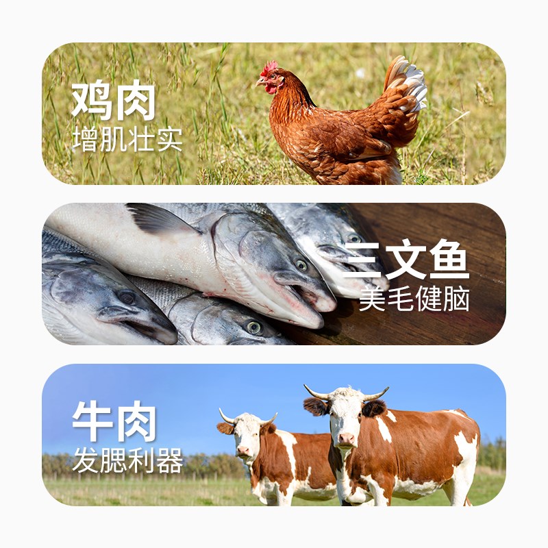 猫小闹全价主食罐3.0乖宝款无谷猫粮成幼猫奶糕布偶英短蓝猫湿粮