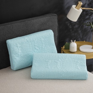 2只装 防水汗液乳胶枕套泰国记忆枕芯枕头套内胆30x35x40x50x55x60