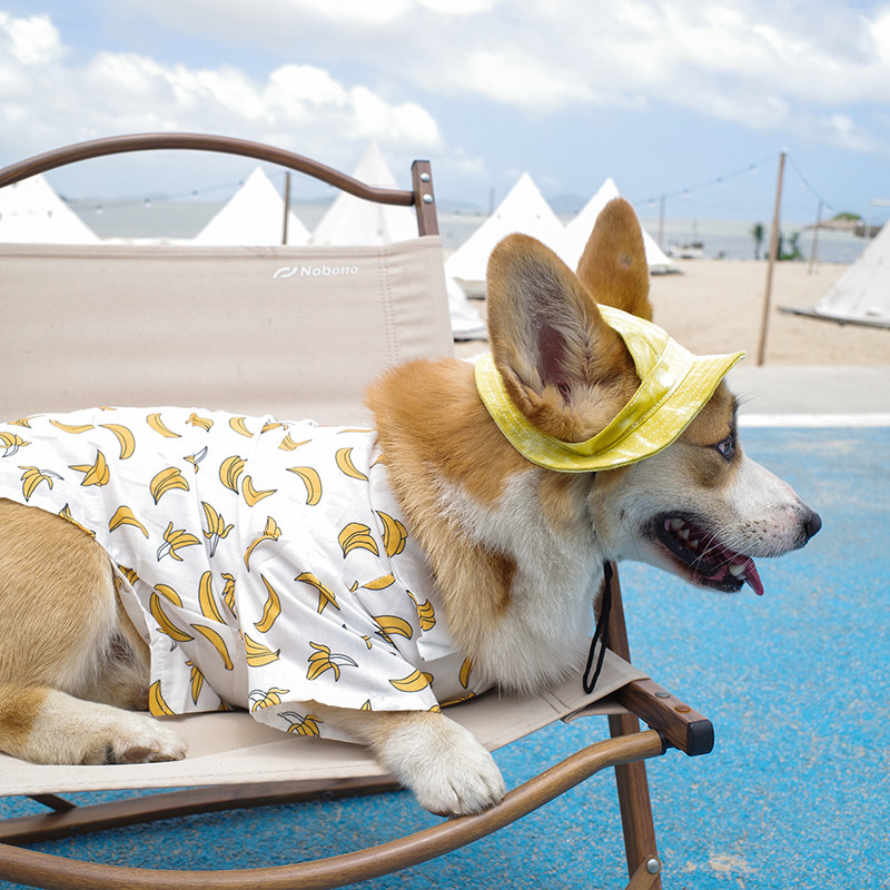 宠物沙滩休闲衬衫薄款柯基外出拍照胖狗透气防掉毛防晒衣服秋,宠物/宠物食品及用品,猫宠物服装/雨衣（新）,淘宝优惠券,粉丝福利购,淘宝优惠卷