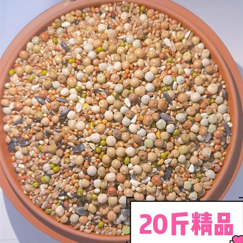 20斤新无玉米精品鸽子粮食营养饲料鸟食信鸽观赏鸽肉鸽幼鸽成鸽粮