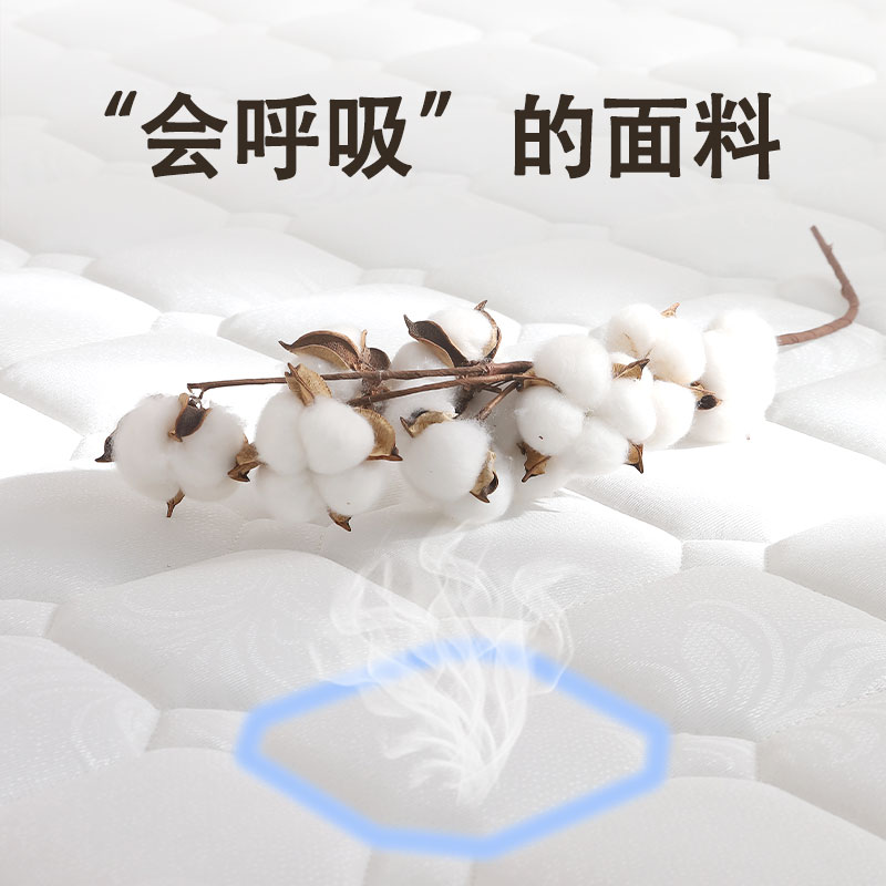 床垫15cm厚棕垫偏硬护腰硬床垫纯天然椰棕榈乳胶家用垫薄款可折叠