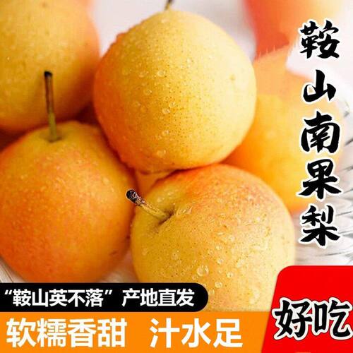 辽宁南果梨 鞍山发货南果梨 软糯香甜5斤包邮