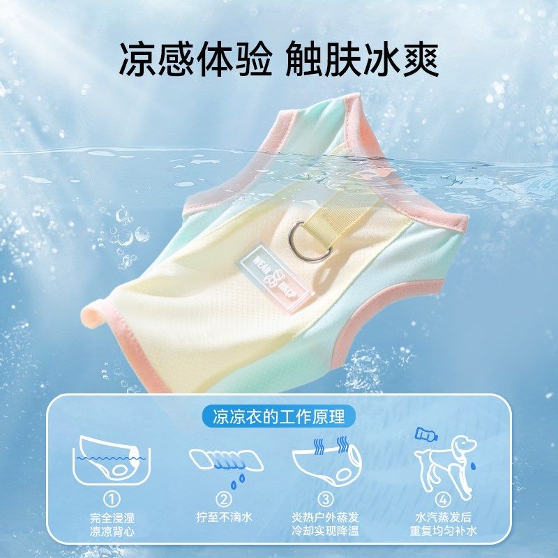 猫咪牵引绳外出专用防挣脱透气衣服胸背夏季外出背心式遛猫神器,宠物/宠物食品及用品,猫牵引绳,淘宝优惠券,粉丝福利购,淘宝优惠卷