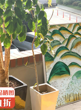 侘寂风北欧艺术抽象背景墙装饰画客厅沙发玄关卧室餐厅书房挂画