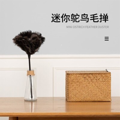 新疆包邮静电真鸵鸟毛掸子家用除尘不掉毛车用清洁扫灰加厚鸡毛掸