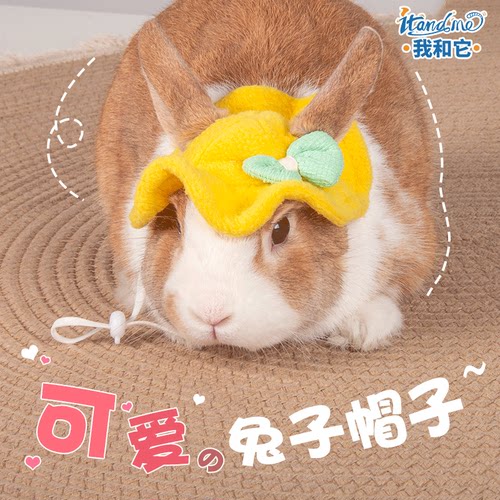我和它兔子帽子漏耳朵宠物头饰