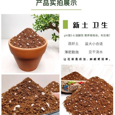 兰花专用土墨兰寒兰报岁兰土国兰建兰通用型营养土酸性易出根特配