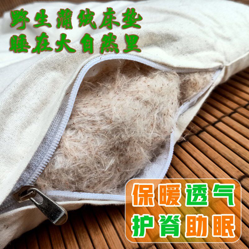 天然蒲绒床垫褥子榻榻米沙发垫水蜡烛香蒲绒保暖蓄热纯棉可拆洗