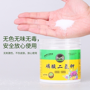 磷酸二氢钾花肥料花卉专用盆栽颗粒肥家用养花磷钾肥叶面肥