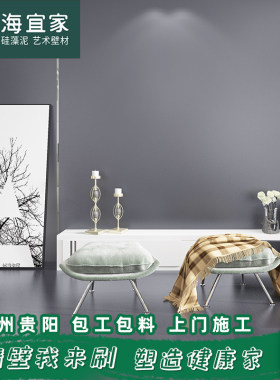 贵州贵阳硅藻泥 环保除甲醛喷涂欧式室内客厅卧室电视背景墙图案