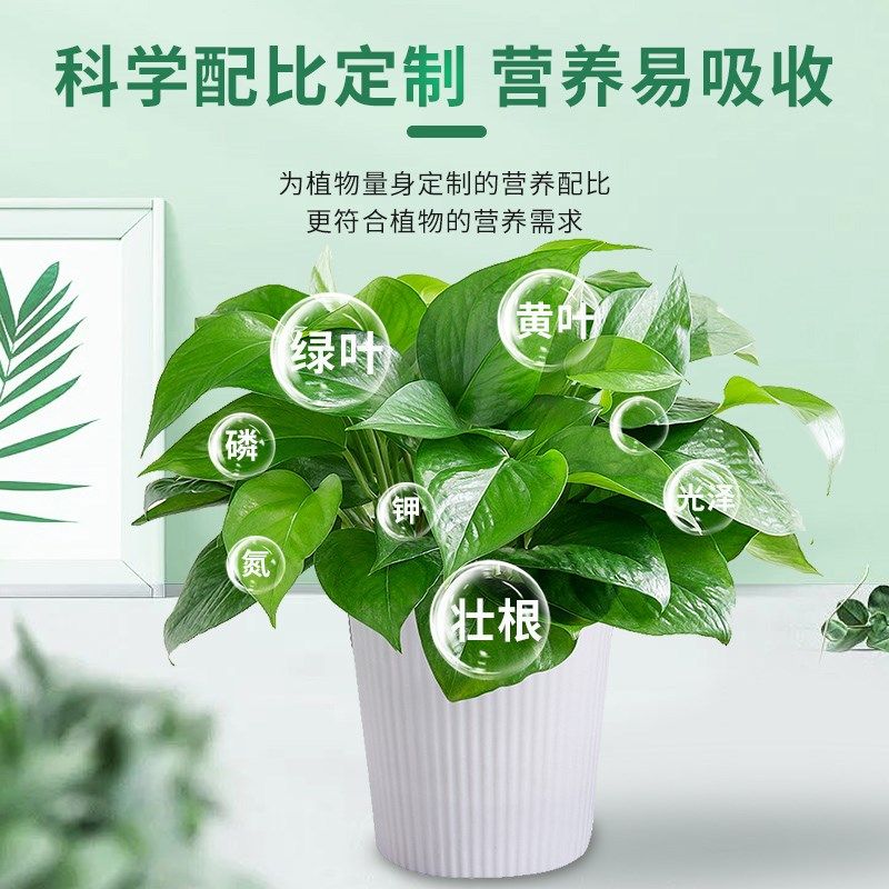 营养液植物通用型花肥富贵竹水培发财树月季盆栽家用花卉养花肥料,鲜花速递/花卉仿真/绿植园艺,家庭园艺肥料,淘宝优惠券,粉丝福利购,淘宝优惠卷