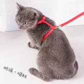 猫咪专用牵引绳溜猫遛猫绳神器防挣脱猫链子猫绳子猫链猫牵引用品