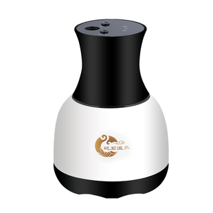 美容温灸仪砭石按摩家用扶抚养艾能量罐养通益生阳罐电热刮痧器板