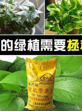 蔷薇花专用营养土有机种菜土壤30斤多肉绿萝泥草炭土通用型花土肥