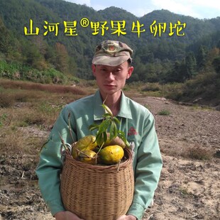 农村摘果竹编制品竹匾家用竹筛子竹簸箕土手工装饰菜竹篮箩筐篓子