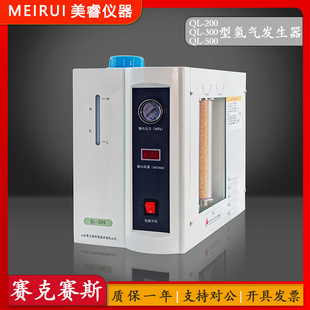 山东赛克赛斯 实验室纯水型高纯氢气发生器 QL-200/300/500/1000