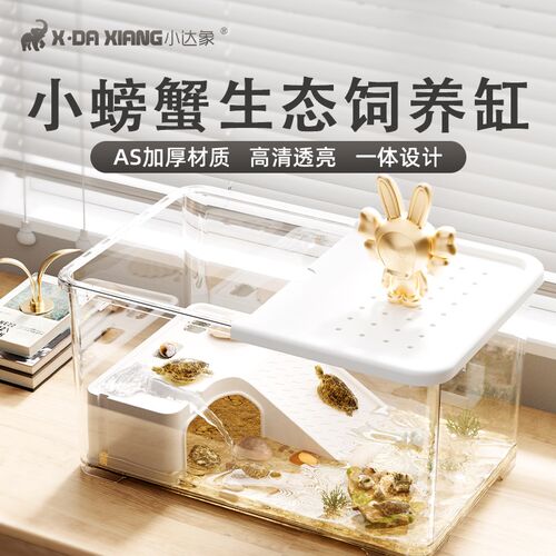 小螃蟹生态缸乌龟饲养缸客厅桌面小鱼缸小型造景专用缸家用乌龟缸