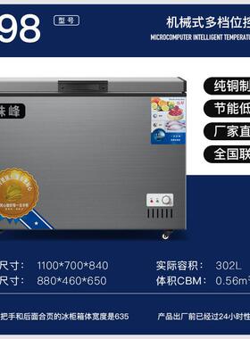 珠峰498两用卧式家用冷柜冷冻大冰柜商用大容量小冷冻柜一级能效