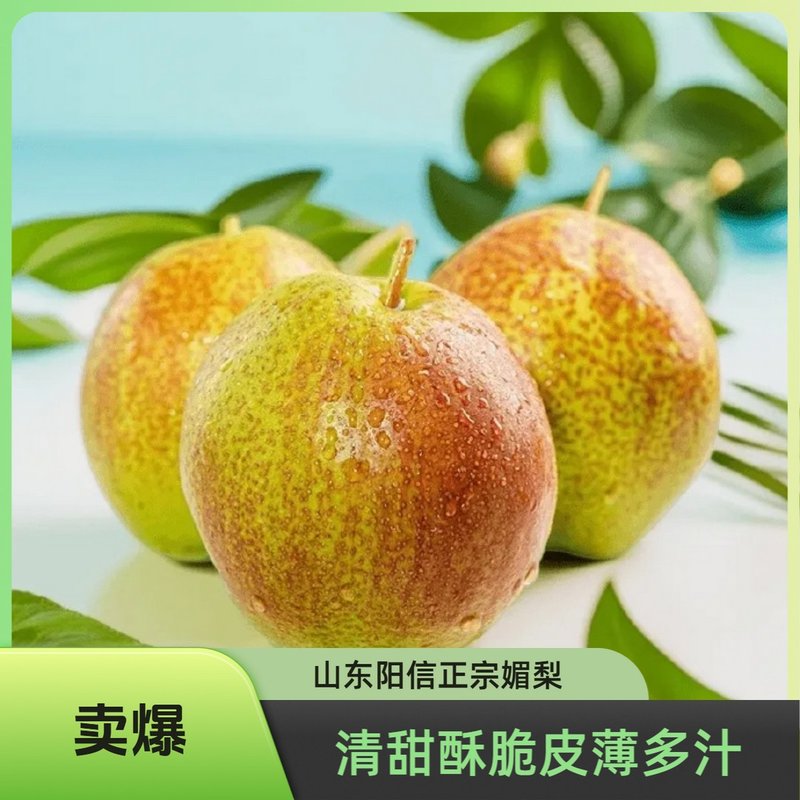 山东媚梨阳信媚梨清甜可口酥脆皮薄多汁无酸无渣R