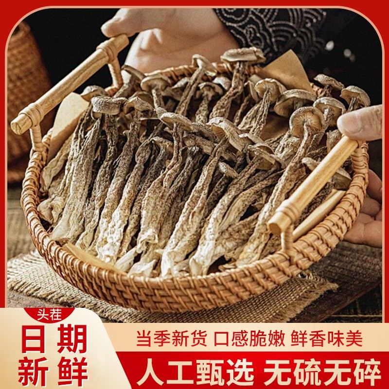 209到手1斤鹿茸菇鹿茸菌新鲜香菇干货云南特产鹿茸菇煲汤食材