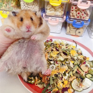 新配方 小璇家长肉自配粮仓鼠金丝熊主粮粮公婆三线一线通用500克