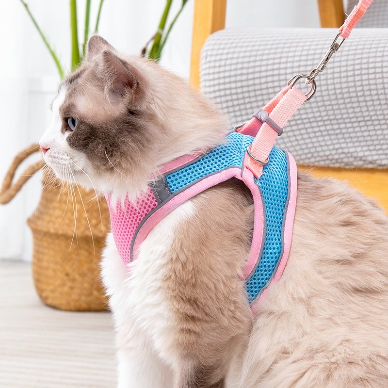 猫咪牵引绳透气胸背带防挣脱外出专用宠物溜猫绳小型犬泰迪布偶绳,宠物/宠物食品及用品,猫牵引绳,淘宝优惠券,粉丝福利购,淘宝优惠卷