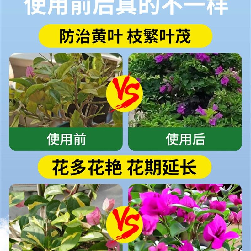 三角梅营养液专用肥料盆栽家用三角梅腊梅促开专用营养液养护肥料,鲜花速递/花卉仿真/绿植园艺,家庭园艺肥料,淘宝优惠券,粉丝福利购,淘宝优惠卷