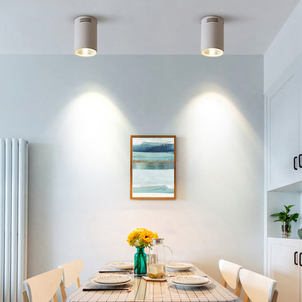 调光LED明装射灯 家用办公室吸顶吊装筒灯半导体控制整流器调节亮