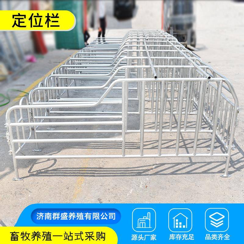 母猪定位栏养殖猪用限位栏单体双体产床分娩床养猪设备限位定位
