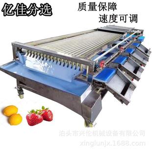 小型轨道式茂谷柑分级机夫人李选果设备人参果筛选机不伤果