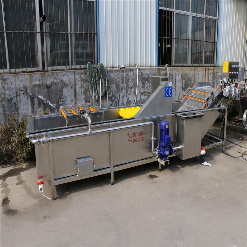 厂家供应香椿芽连续气泡清洗机多功能气泡清洗机免费安装调试