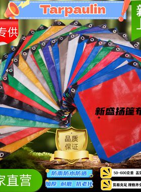 蓝桔防晒 防雨布防水布蓬布苫布帆布刀刮布棚布包装布 pe篷布