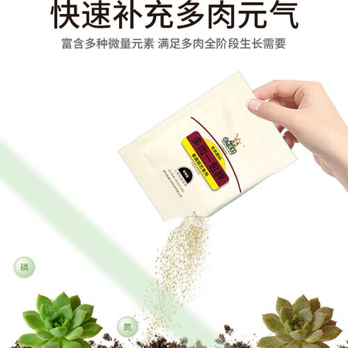 中古多肉一包胖盆栽植物室内有机营养G生根增色通用绿植好养活四