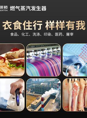 商用1吨锅炉全自动环保液化气天然气电生物质工业立式蒸汽发生器