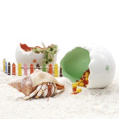 寄居蟹陶瓷蛋壳窝~水盆 豆丁蜕皮桶 多色可选躲避屋窝 造型可爱