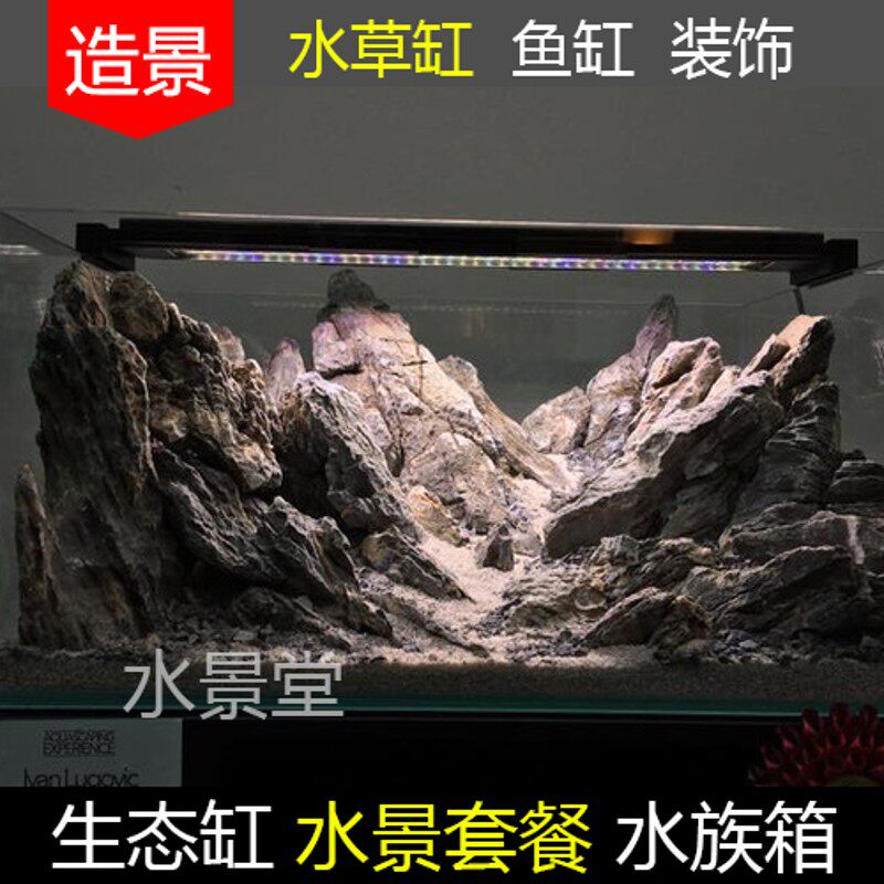 青龙石造景套餐鱼缸灯鱼缸水族箱造景水草小鱼缸里的水草植物真草