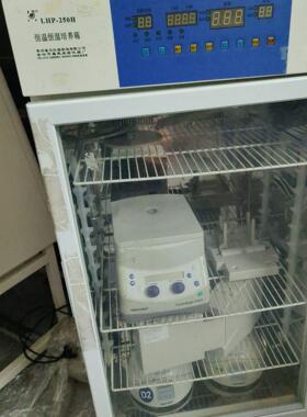 LHP-250H出售 普天仪器恒温恒湿培养箱 议价