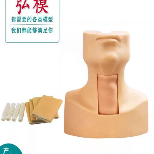 J58环甲膜穿刺及气管切开插管训练模型环状软骨气管切开术训练模