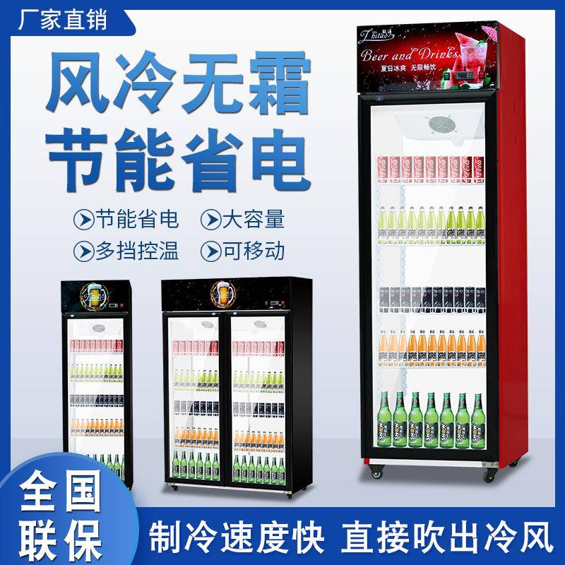 商用立式双门展示柜水果保鲜柜冰箱冰柜啤酒柜冷藏柜饮料柜