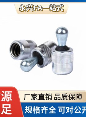 替代米思米BJ765-06002  03001 03002 05001 05002 弹簧定位销