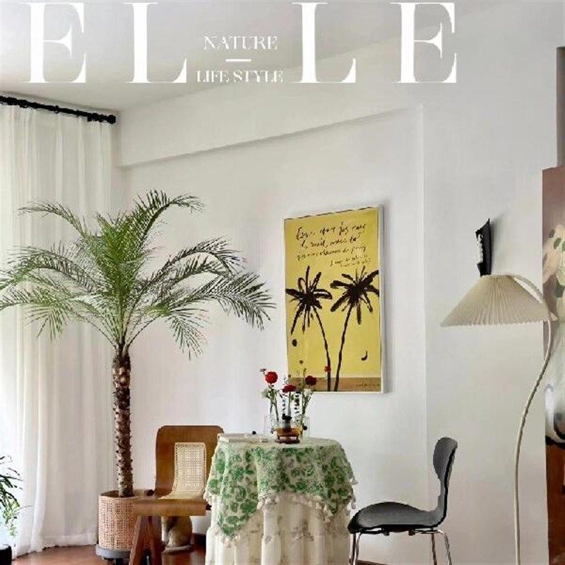 针葵盆栽大型热带植物客厅室内阳台办公室椰子树室外好养网红植物,鲜花速递/花卉仿真/绿植园艺,大型绿植/成品组合盆栽,淘宝优惠券,粉丝福利购,淘宝优惠卷