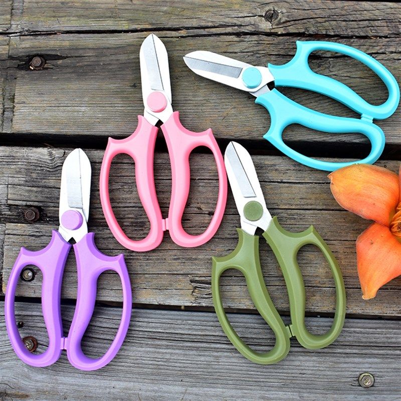 园艺修枝剪花艺剪刀家用修花修枝多肉剪盆景盆栽加厚锋利插花剪刀