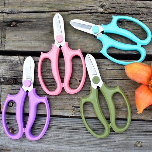 园艺修枝剪花艺剪刀家用修花修枝多肉剪盆景盆栽加厚锋利插花剪刀