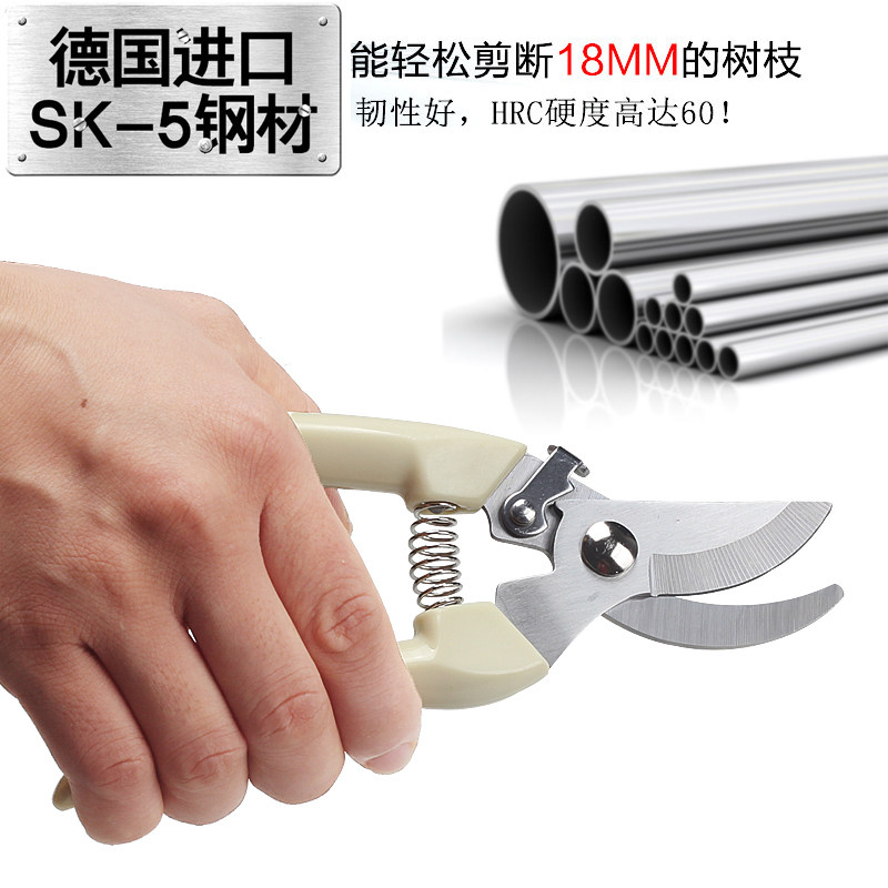 园艺修枝剪花剪刀家用省力树枝剪子果园粗枝剪多功能工具修花剪刀,鲜花速递/花卉仿真/绿植园艺,剪刀,淘宝优惠券,粉丝福利购,淘宝优惠卷