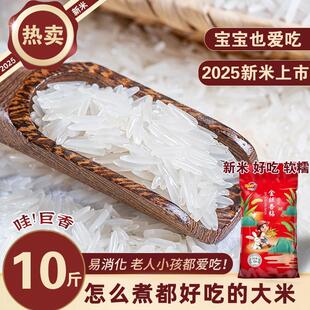 正宗优质真新大米长粒香5kg家庭装10斤一袋农家晚稻饭店粮食米饭