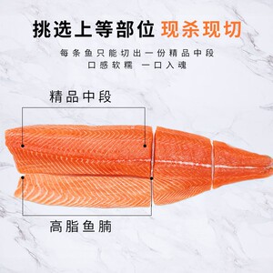 【法罗三文鱼】鲜有汇聚丹麦法罗冰鲜三文鱼新鲜刺身中段鱼腩600g