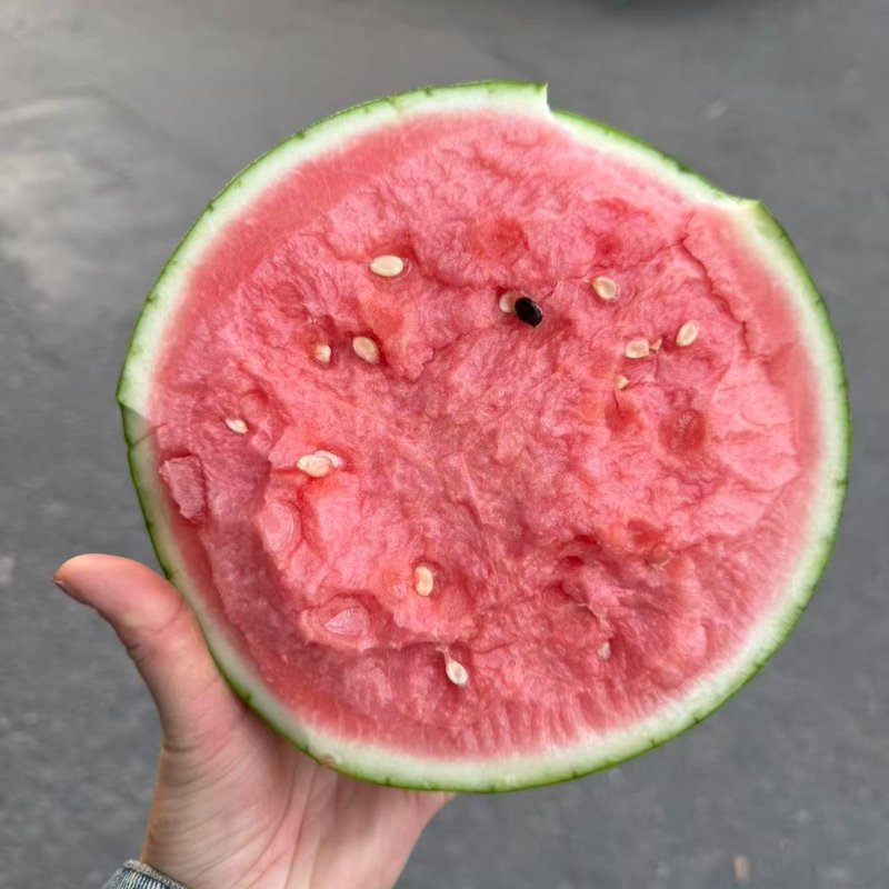 （个别有黑籽）美都新鲜西瓜头茬无籽（即软白籽）西瓜麒麟西瓜