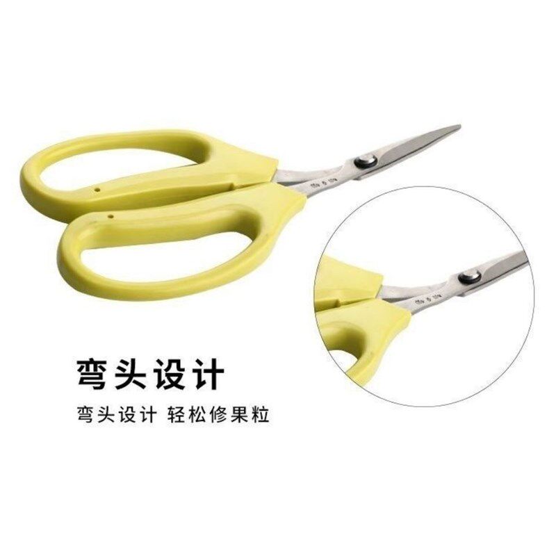 葡萄翘头剪葡萄的剪刀r修摘果树蔬果植物剪刀树枝剪手动整枝剪子