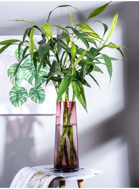 朗峰玻璃缸大号花瓶欧式花家居摆设花K插鱼缸转运竹富贵竹瓶
