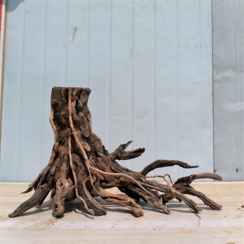 树桩沉木南美缸沉木鱼缸造景骨架造景南美缸造景沉木树桩生命之树